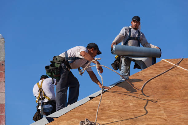Best Storm Damage Roof Repair  in Brigantine, NJ